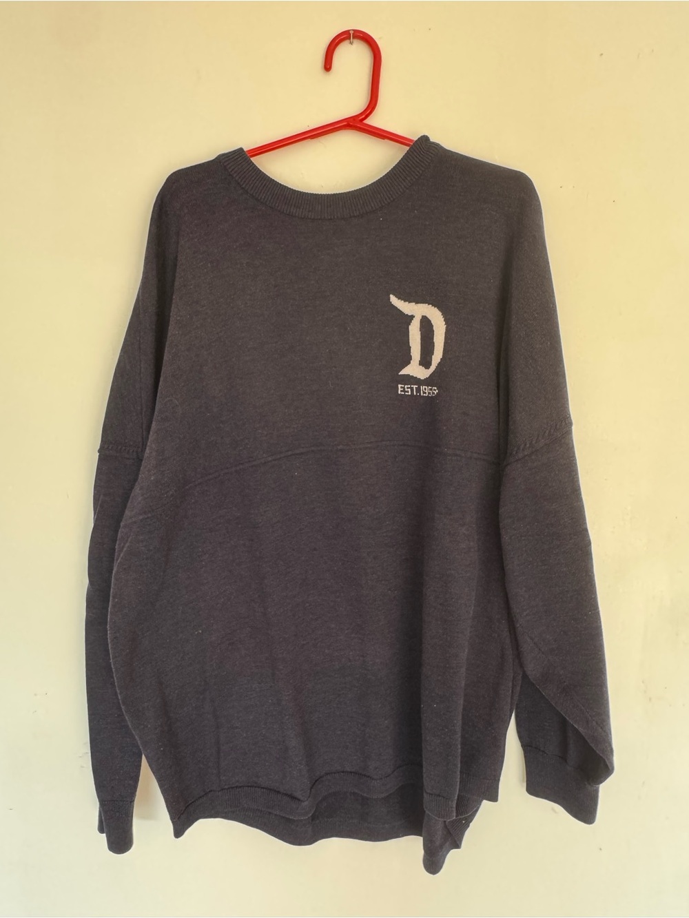 Disneyland Spirit Jersey sweater